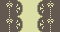 green brown lace