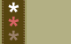 flower lace