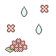 hydrangeas