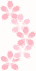 blossoms