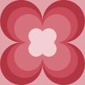 clover flower