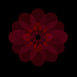 dark flower