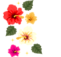 hibiscuses