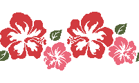 hibiscuses
