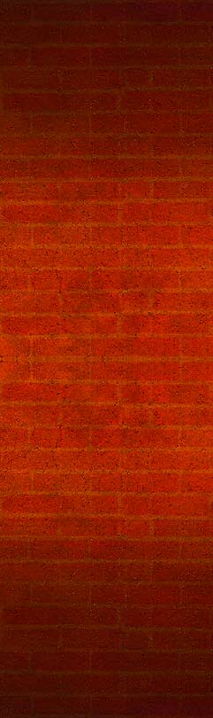 bricks