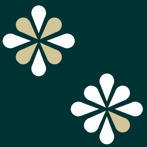 https://file.garden/ZB4qGAGhwDl-HJh1/backgrounds/TEAL/f13-bg-pattern.gif