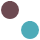 brown teal dots