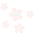 pale flowers