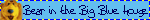 bear in the big blue house