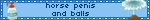horse penis and balls