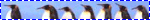 penguins