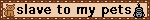 slave to my pets