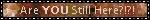 are you still here