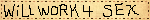will work 4 sex