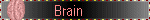 brain dead