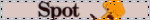 spot