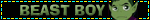 beast boy