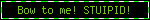 bow to me! stuipid!