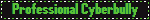 professional cyberbully