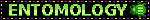 entomology