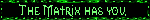 the matrix has you