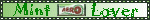 mint aero lover