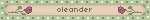 oleander
