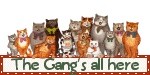 the gangs all here