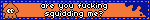 are you fucking squidding me