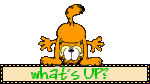 whats up