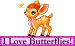i love butterflies