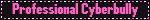 professional cyberbully