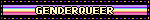 genderqueer