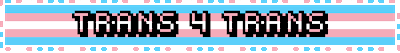 trans 4 trans