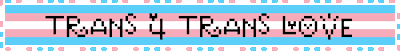 trans 4 trans love