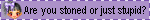 are you stoned or just stupid