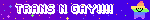 trans n gay