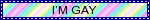 im gay