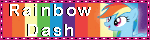 rainbow dash