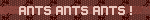 ants ants ants