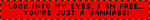 look into my eyes i am free youre just a wannabe