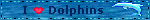 i love dolphins