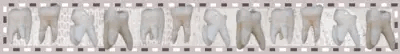teeth