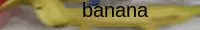 banana dawg