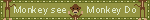 monkey see monkey do