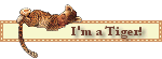 im a tiger