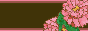 carnation