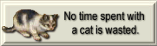no time spent with a cat is wasted