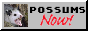 possums now