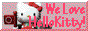 we love hello kitty
